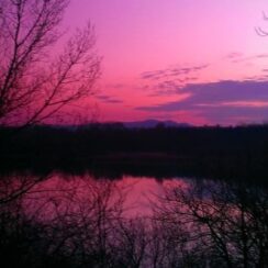 Der purpurrote Sonnenuntergang im Winter eröffnet das Fenster zu deiner Seele.